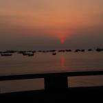 Long Hoàng Profile Picture