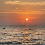 子龙 赵 Profile Picture