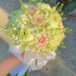 Tân Hà Profile Picture