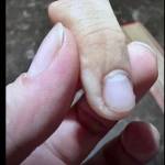 Den11111 Profile Picture