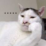 Huynh Minh Profile Picture