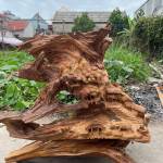 Nguyễn Vinh Profile Picture