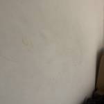 Tuyền Nguyễn Profile Picture