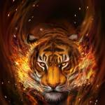 hai pham Profile Picture