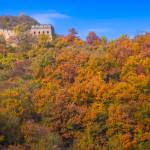 William94 94 Profile Picture