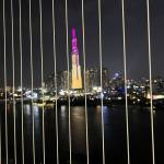 Li Cu Profile Picture