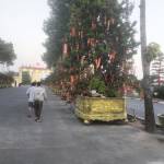 Trai1989 Nguen Profile Picture