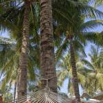 Long Nguyen Profile Picture