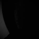 Lê Vì Profile Picture