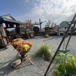 Nguyen Văn hien Profile Picture