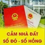 HAI PHAM Profile Picture