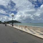 tâm nguyễn Profile Picture