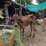 nam Quang Profile Picture