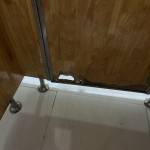 huy quốc Profile Picture