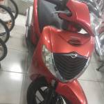 Thành Nguyễn Profile Picture