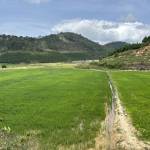 trường xuan Profile Picture