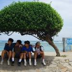 Dang Tran Profile Picture