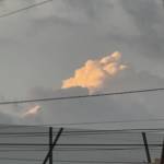 Thanh phong Võ Profile Picture