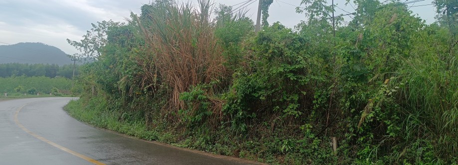 Thiện nhân LÊ Cover Image