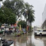 Minh Tai Profile Picture