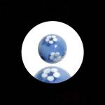 Dienvitien Profile Picture