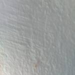 Thanh Hung Profile Picture