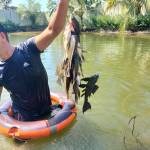 Hung Nguyen Profile Picture