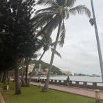 Sasha95 Profile Picture