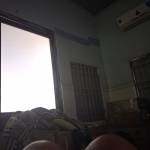 Chó Luộc Thịt Profile Picture