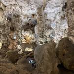 … ,,, Profile Picture