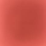 Quach Vu Profile Picture