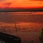 Lâm Huỳnh Profile Picture