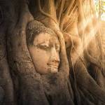 DENIS Profile Picture