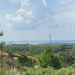 Nguyen Nguyen profile picture