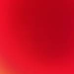 Vũ Quách Profile Picture