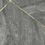 Aloxa Profile Picture