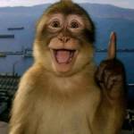 duy khang Profile Picture