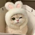 Ty99 Be Profile Picture