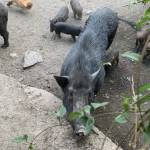 TimTim6789 Profile Picture