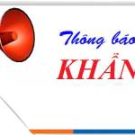 Locphat Profile Picture