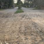 Bi Trần Profile Picture