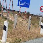 Mai Nguyễn Profile Picture