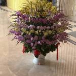 Si Ca Profile Picture