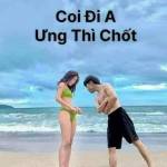 Ductoan1vn Profile Picture