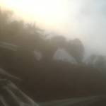 chanphuong nguyen Profile Picture