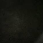 Thái Trần Profile Picture