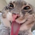 Hưng Bống Profile Picture