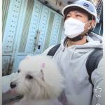 Hoangvo Profile Picture