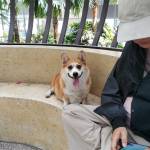 Hoai Nguyen Profile Picture