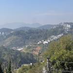 tien anh Profile Picture